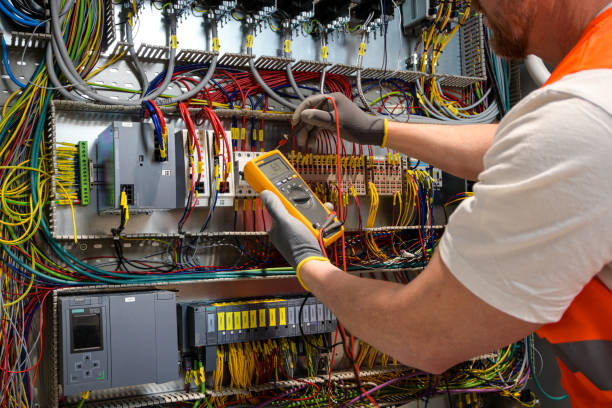 Best Electric Panel Repair  in Greenwood, DE